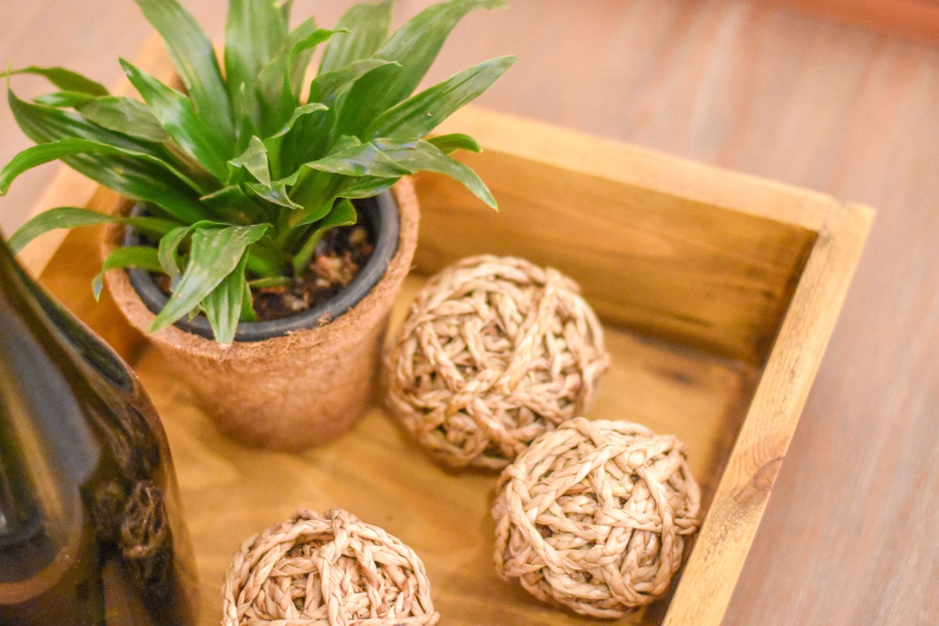 Table Styling — hospitality photography by by.dankay in Sri Lanka